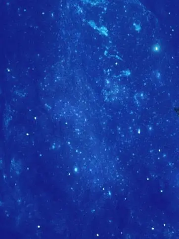 BentFlood8916의 星の煌めき