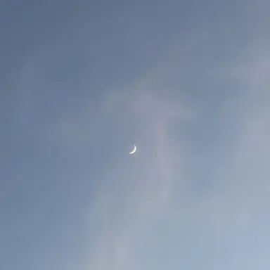 Profile image of あなたの母