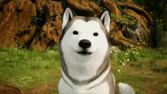 Profile image of Wooyeon