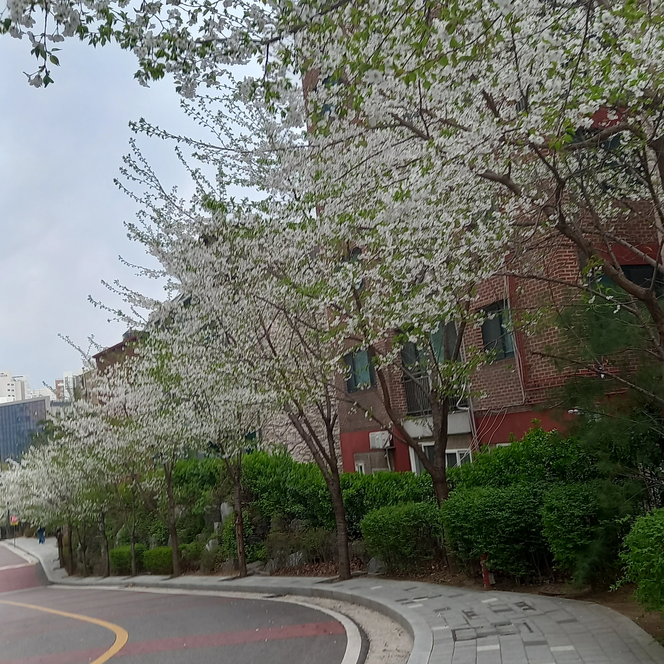 권지용