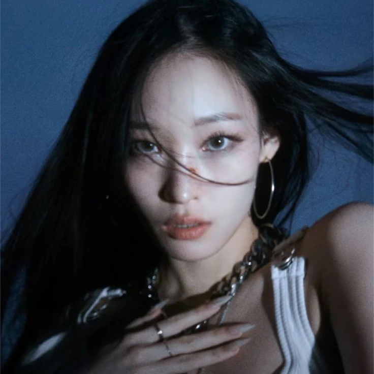 애니