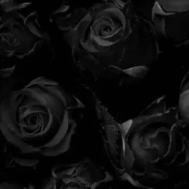 Profile image of 우융