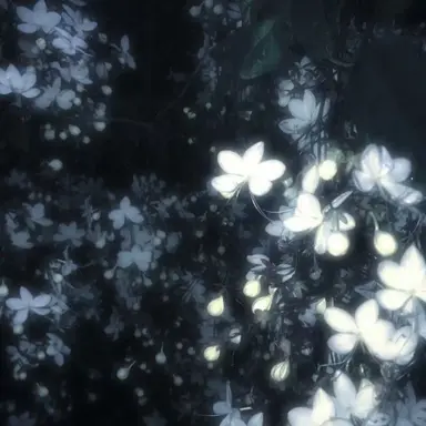 Profile image of 시미베