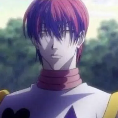 Profile image of ヒソカ