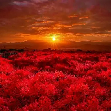 Profile image of 라더