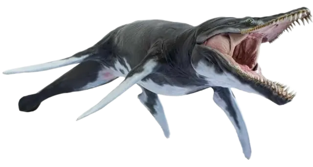 Profile image of クロノサウルス