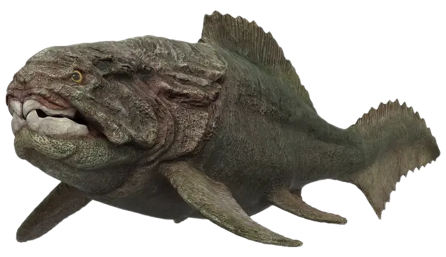 Profile image of ダンクルオステウス