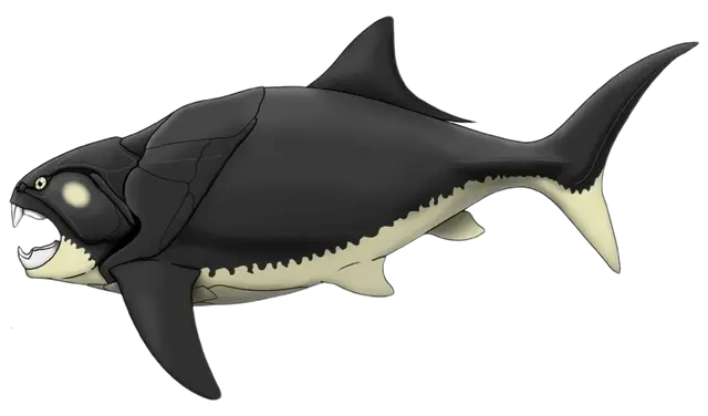 Profile image of ダンクルオステウス