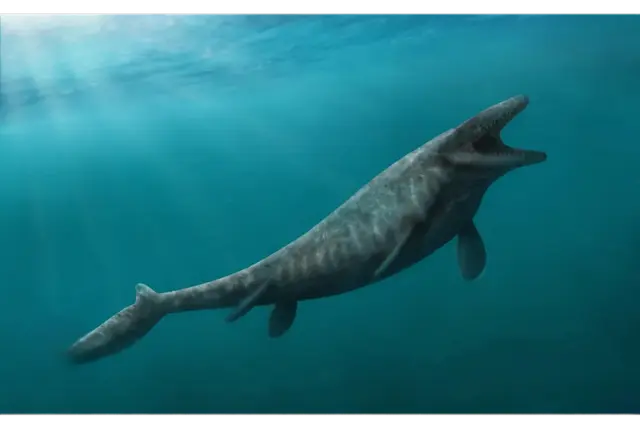 Profile image of モササウルス