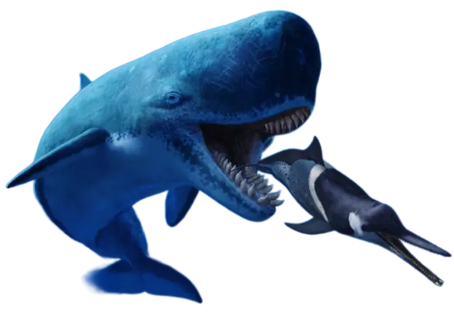 Profile image of リヴィアタン・メルビレイ