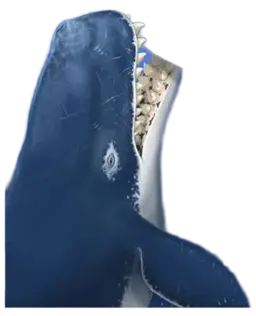 Profile image of リヴィアタン・メルビレイ