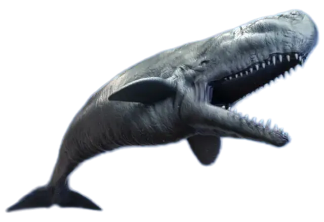 Profile image of リヴィアタン・メルビレイ