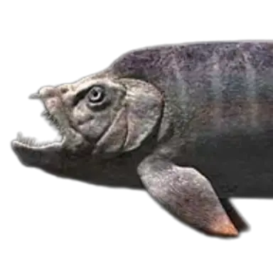 Profile image of 크시팍티누스