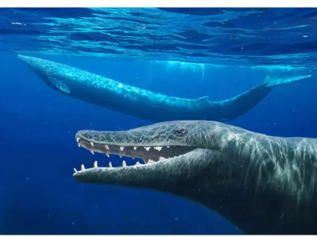 Profile image of バシロサウルス