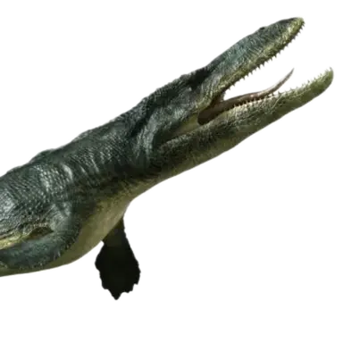 Profile image of 틸로 사우루스