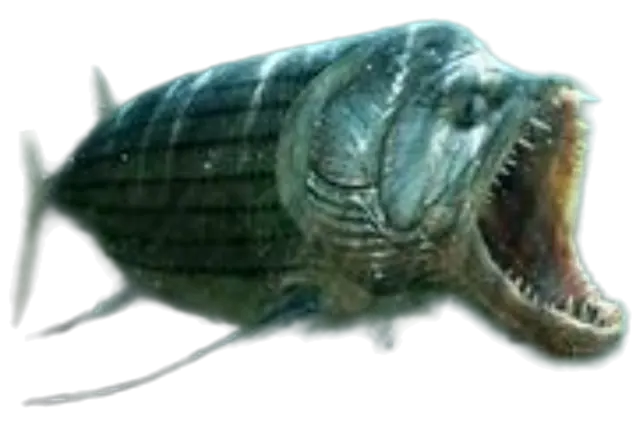 Profile image of シファクティヌス