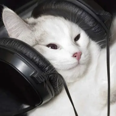Profile image of じふん