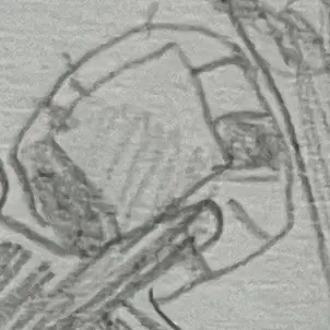 Profile image of 유기사