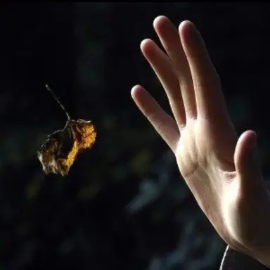 Profile image of Danny