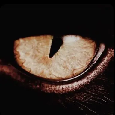 Profile image of Riley