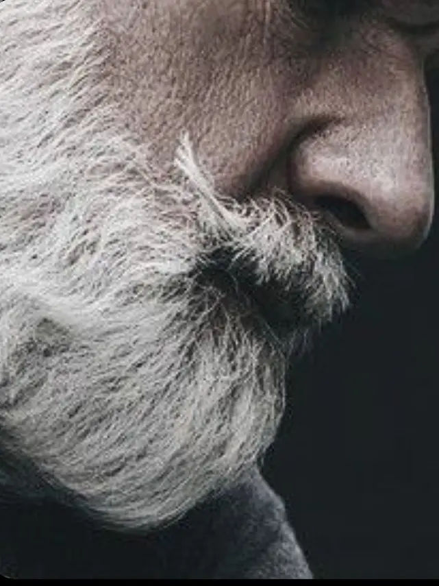 ASKARI_BLACKWOOD의 Team Frank