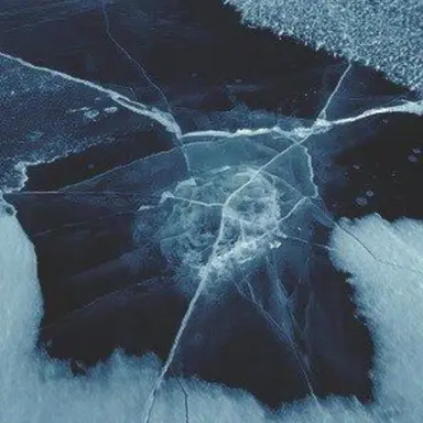 Profile image of Lucille