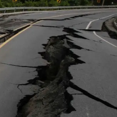 Profile image of Thomas