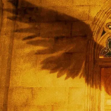 Profile image of Nora