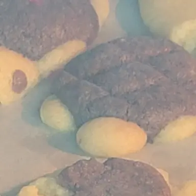 Profile image of 건전한 스키장