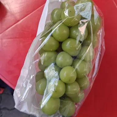 Profile image of 꽥