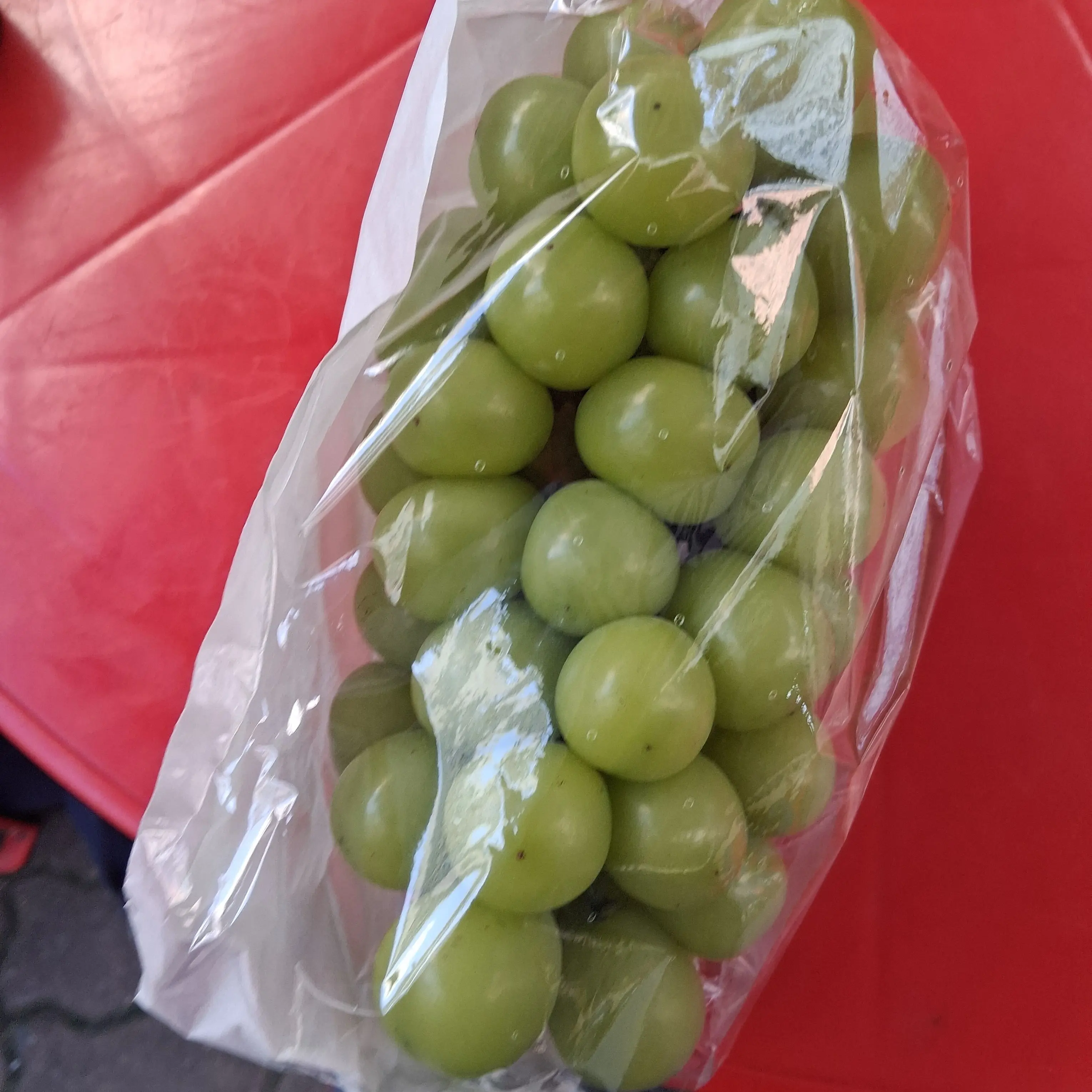 ThickBoots6999의 살인학교 (유명 유튜버들)