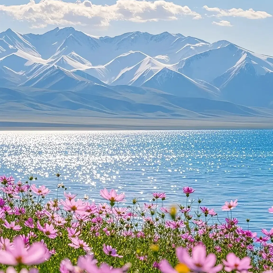 QuaintSleep0408의 중동회의