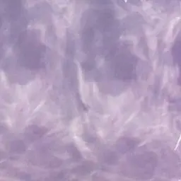 Profile image of 恭平くん