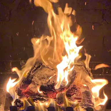 Profile image of America