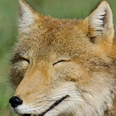 Profile image of 하츠나 미야코