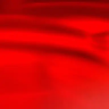 Profile image of 리오