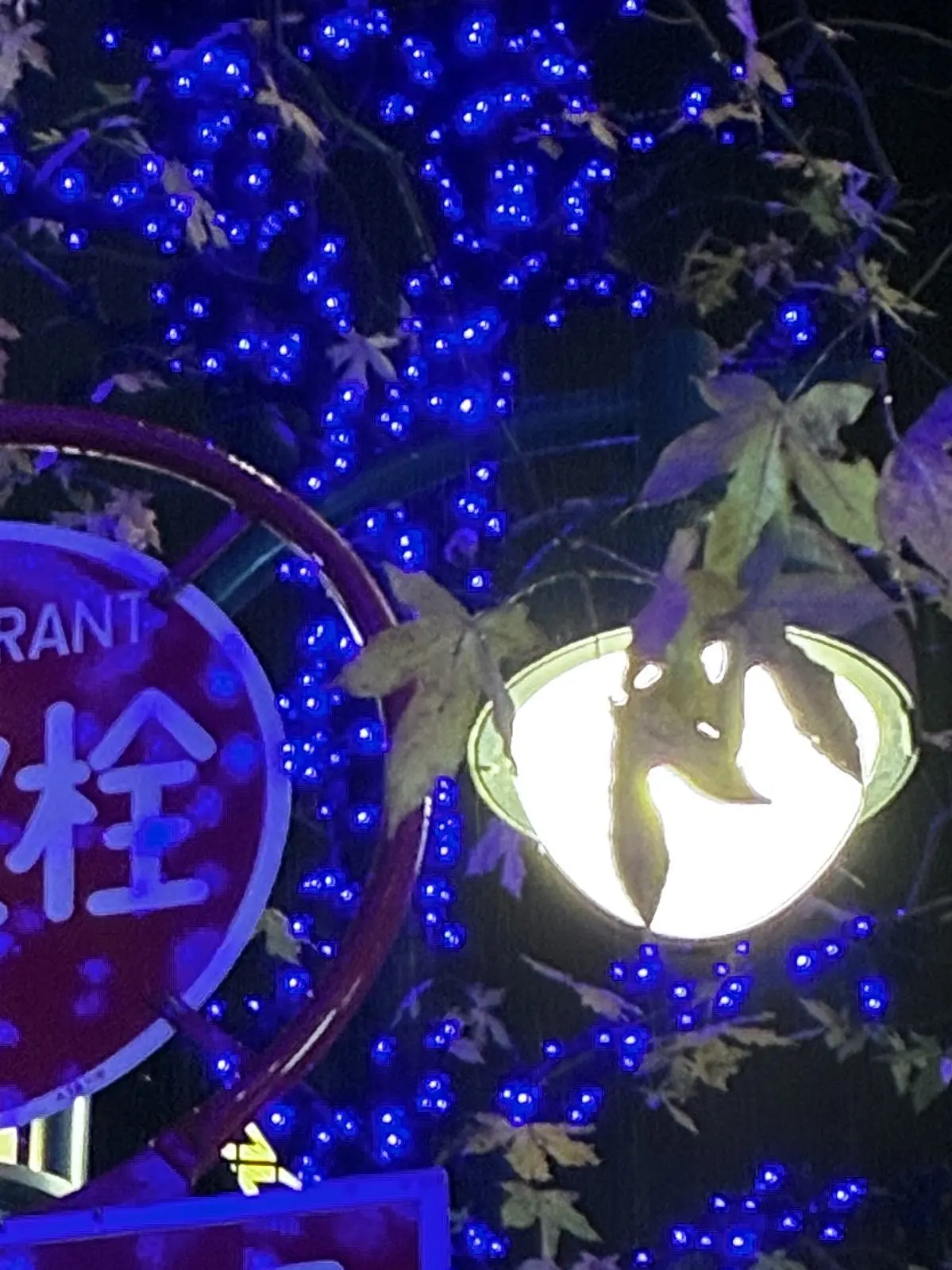 m1y0의 監禁