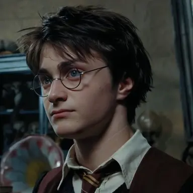 Profile image of Harry
