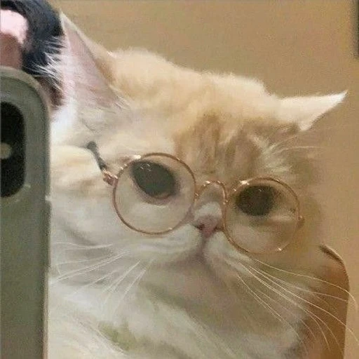 이민호