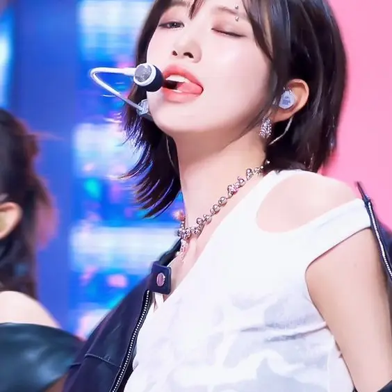 SkinnyMouth6600의 アイドルとそのファン