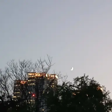 Profile image of 남사친들