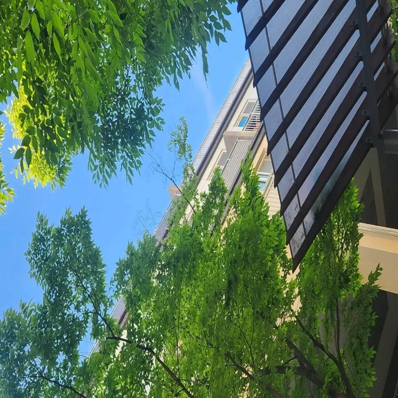 MildHose7186의 기사들 팀나빠