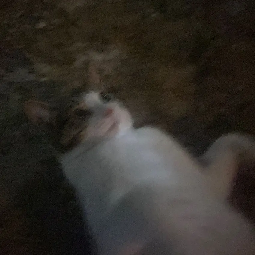 LovelyDoor5561의 나의 삶인 그가 사라지는 중 입니다.