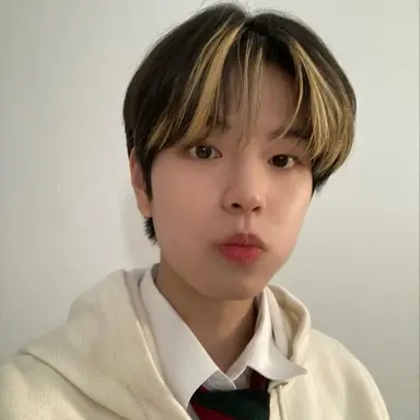 Profile image of Seungmin