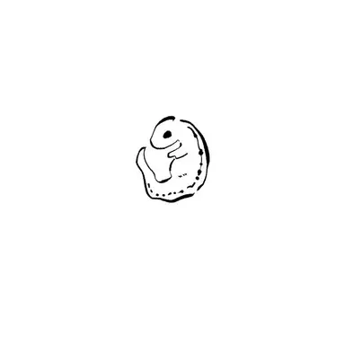 Profile image of 胚