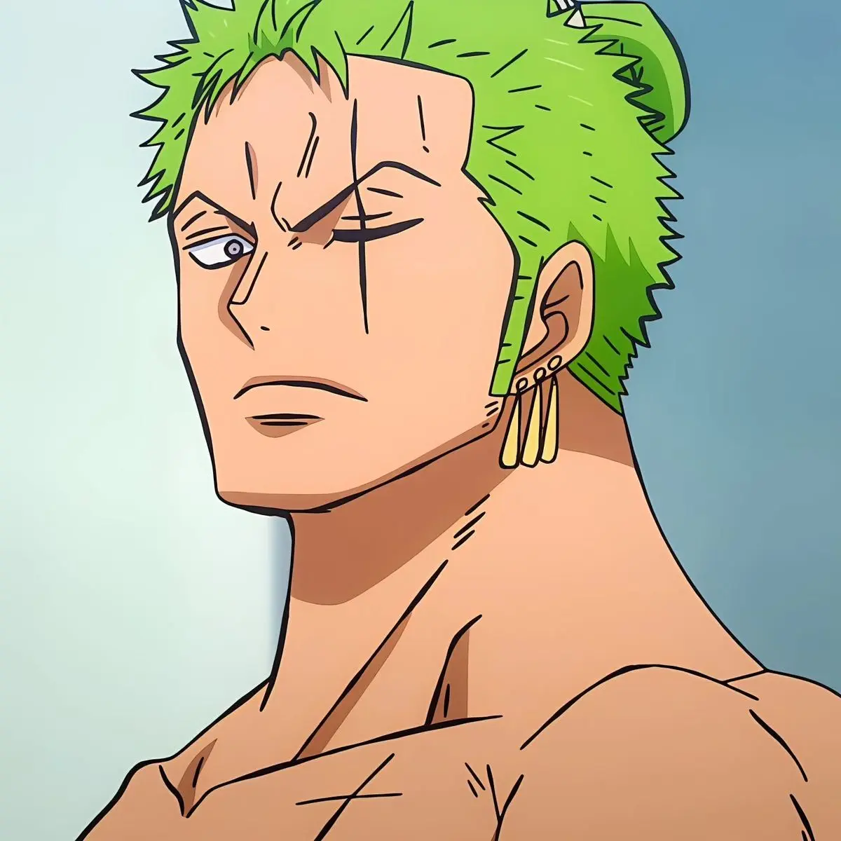 zoro_sanji의 좀아포 원피스