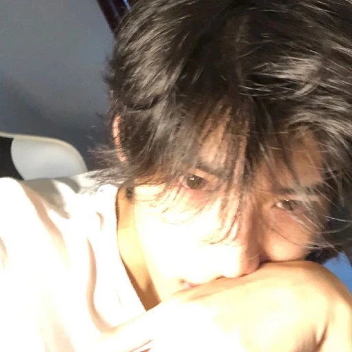 권 진 서