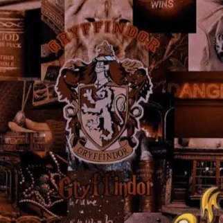 Profile image of 해리 포터