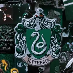 Profile image of 드레이코 말포이