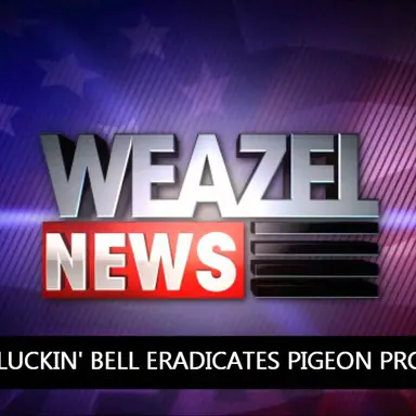 Profile image of 뉴스